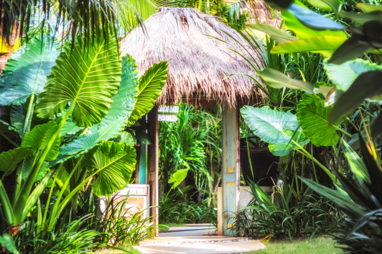 5 reasons to consider a wellness retreat in Bali - Komune Resort ...