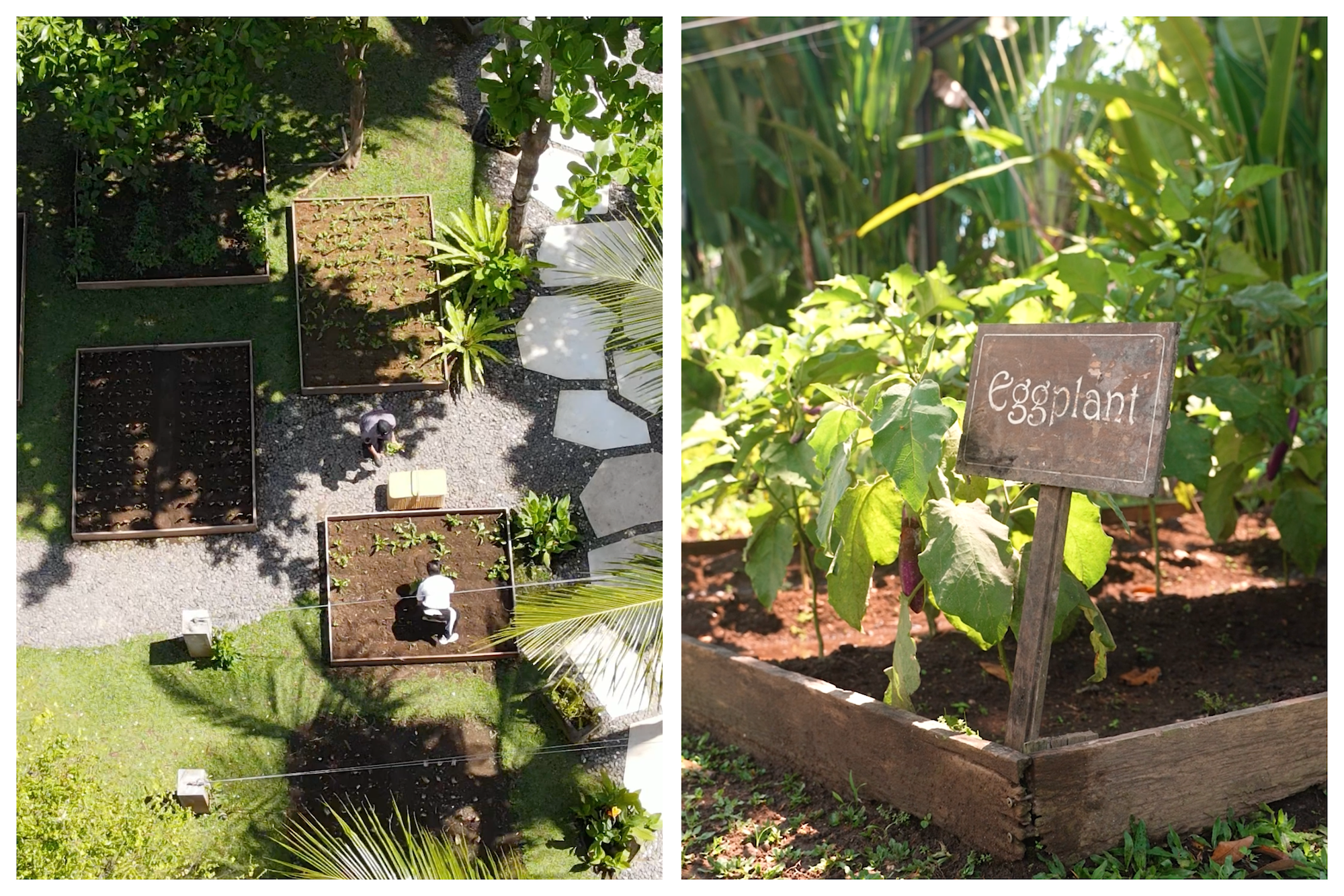 Birds eye view of organic gardens at Hotel Komune