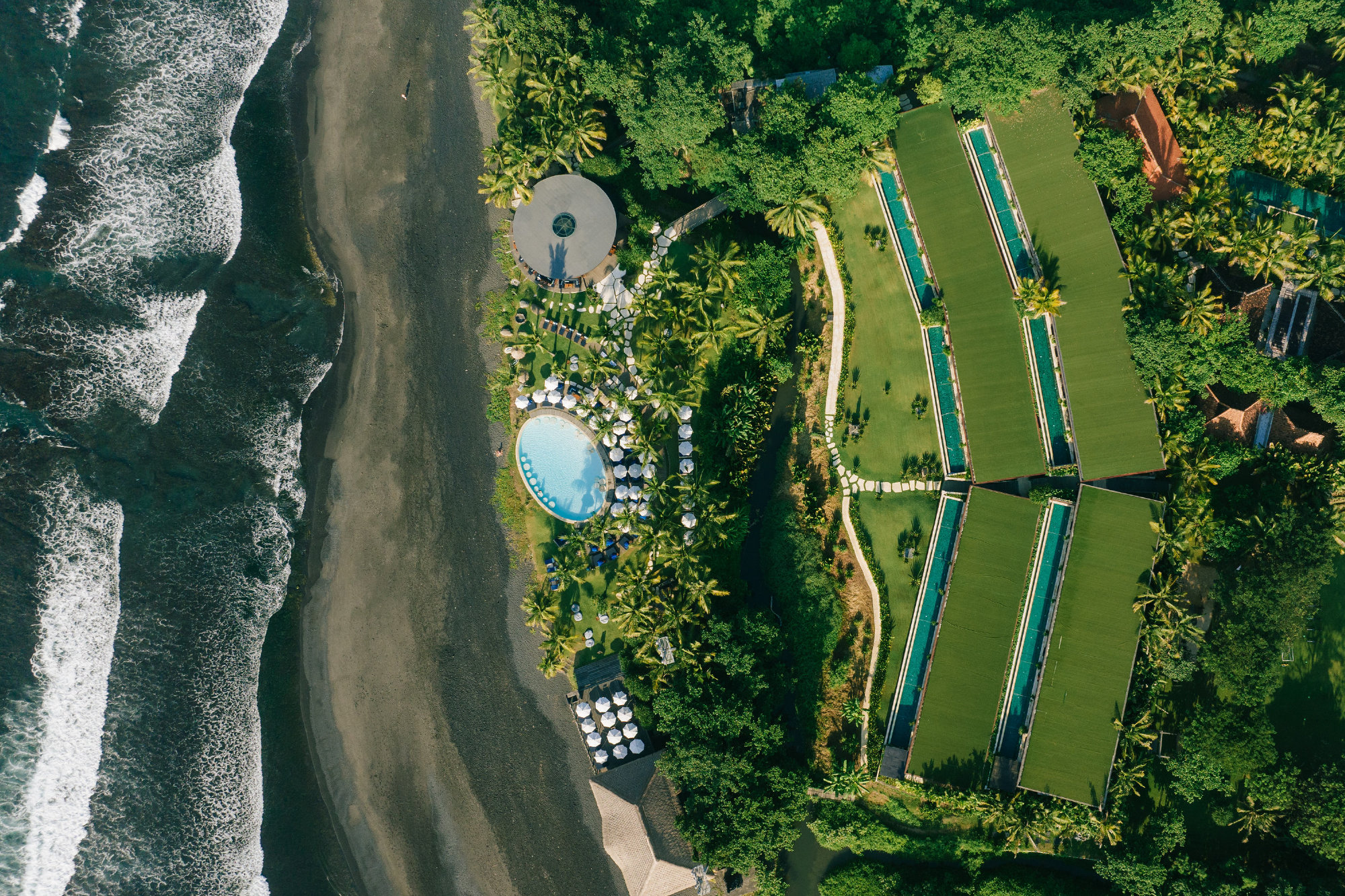 art-of-longevity-retreat-LP-images